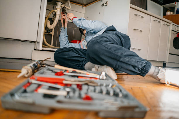 Best Same-Day Plumbing Service  in Sussex, WI
