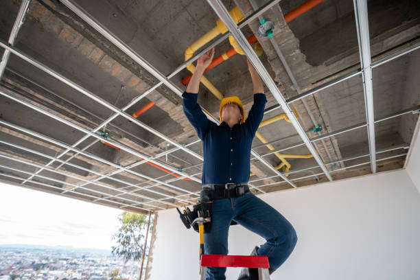 Best Plumbing Inspection Services  in Sussex, WI
